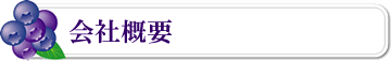 ЊTv